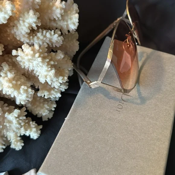 Christian Dior Sunny’s Full Inclusion